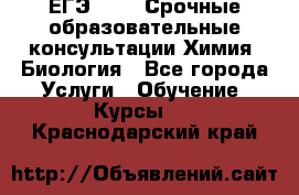 ЕГЭ-2021! Срочные образовательные консультации Химия, Биология - Все города Услуги » Обучение. Курсы   . Краснодарский край